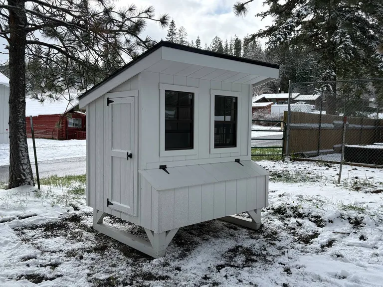 White chicken coop with two windows and exterior nesting box in the snow