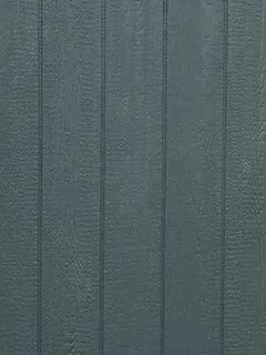 Conifer Forest color sample