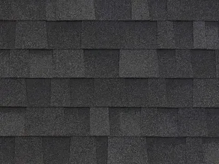 Onyx Black color sample