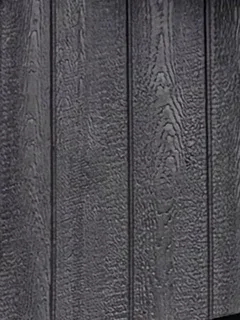 Tricorn Black color sample