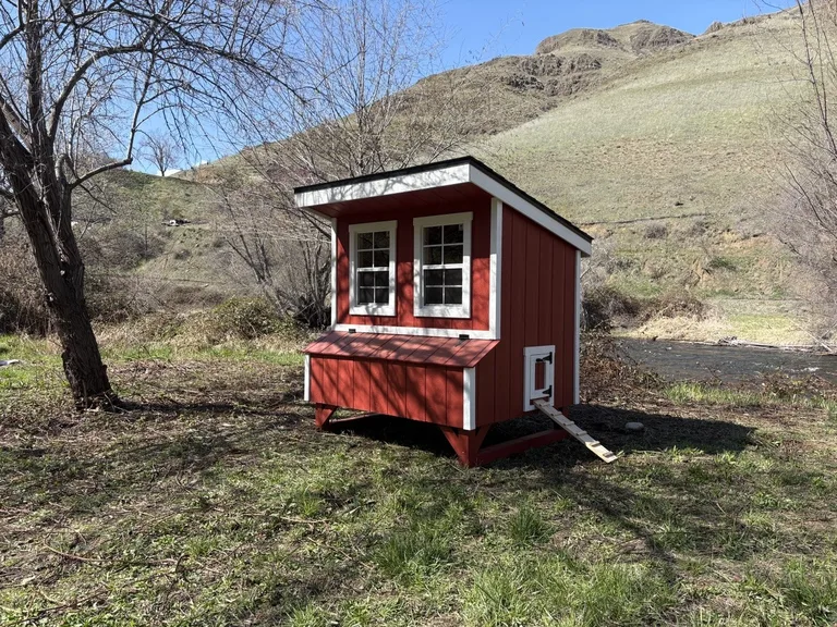 Red chicken coop with white trim, nesting boxes, and an access ramp