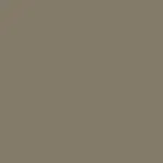 Hickory metal color sample