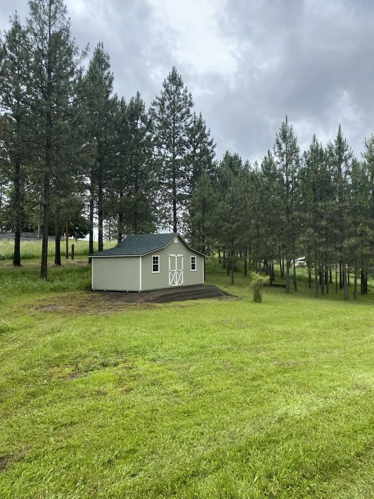 Sage green Rancher barn with white trim nestled in a grassy clearing surrounded by pines